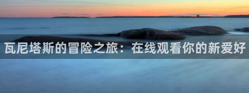 动漫天堂动漫电影推荐：瓦尼塔斯的冒险之旅：在线观看你的新爱好配图