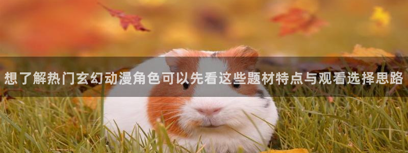 动漫天堂排行榜前十：想了解热门玄幻动漫角色可以先看这些题材特点与观看选择思路配图