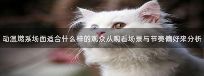 动漫天堂2026：动漫燃系场面适合什么样的观众从观看场景与节奏偏好来分析配图