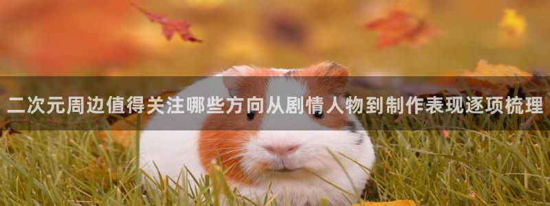 动漫天堂经典动漫：二次元周边值得关注哪些方向从剧情人物到制作表现逐项梳理配图