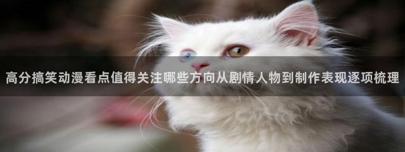 动漫天堂全部作品:高分搞笑动漫看点值得关注哪些方向从剧情人物到制作表现逐项梳理配图