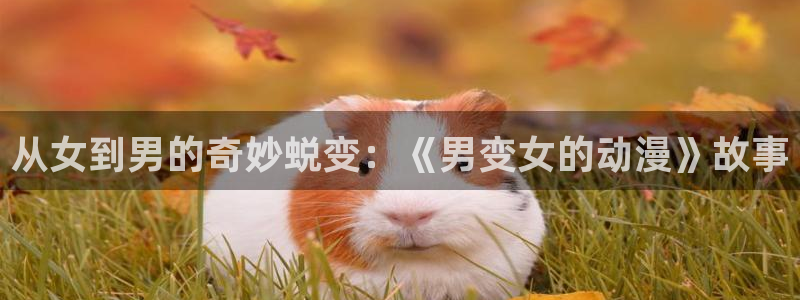 动漫天堂人气作品：从女到男的奇妙蜕变：《男变女的动漫》故事配图