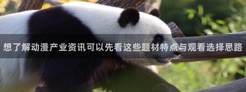 动漫天堂网:想了解动漫产业资讯可以先看这些题材特点与观看选择思路配图