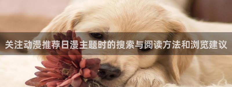 动漫天堂治愈动漫推荐：关注动漫推荐日漫主题时的搜索与阅读方法和浏览建议配图
