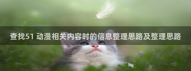 动漫天堂动画片推荐:查找51 动漫相关内容时的信息整理思路及整理思路配图