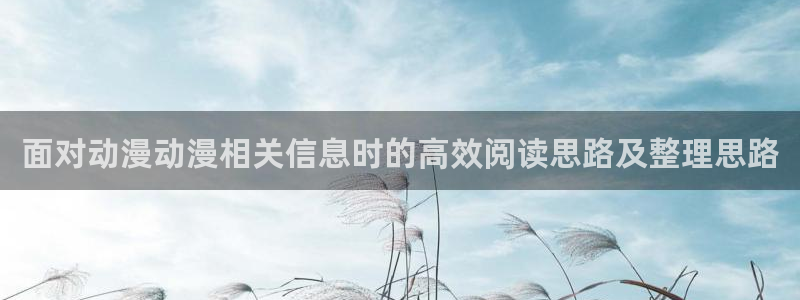 动漫天堂剧场版推荐:面对动漫动漫相关信息时的高效阅读思路及整理思路配图